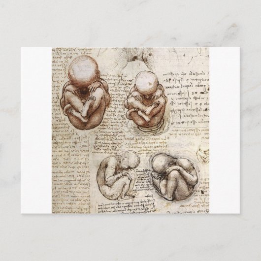 Uitzichten van een foetus in de baarmoeder briefkaart (Voorkant)