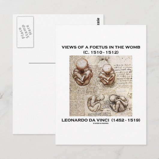 Uitzichten van een foetus in de baarmoeder (Leonar Briefkaart (Voorkant / Achterkant)