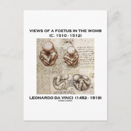 Uitzichten van een foetus in de baarmoeder (Leonar Briefkaart