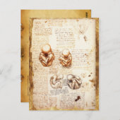 Uitzichten van een foetus in de baarmoeder, Ob-Gyn Briefkaart (Voorkant / Achterkant)