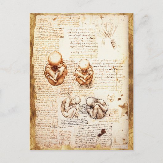 Uitzichten van een foetus in de baarmoeder, Ob-Gyn Briefkaart (Voorkant)