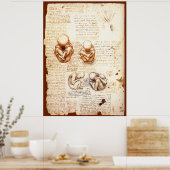 Uitzichten van een foetus in de baarmoeder, Ob-Gyn Poster (Keuken)