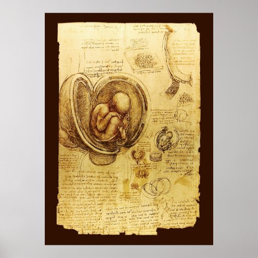 Uitzichten van een foetus in de baarmoeder, Ob-Gyn Poster (Voorkant)