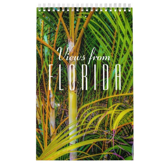 Uitzichten van Florida Calendar Kalender (Hoes)