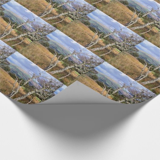 UITZICHTEN VAN WALES CADEAUPAPIER (Hoek)