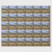 UITZICHTEN VAN WALES CADEAUPAPIER (Vlak)