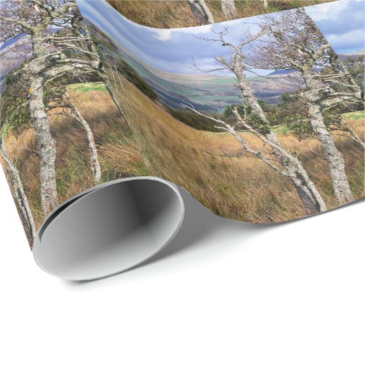 UITZICHTEN VAN WALES CADEAUPAPIER (Rol Hoek)