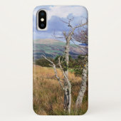 UITZICHTEN VAN WALES Case-Mate iPhone CASE (Achterkant)