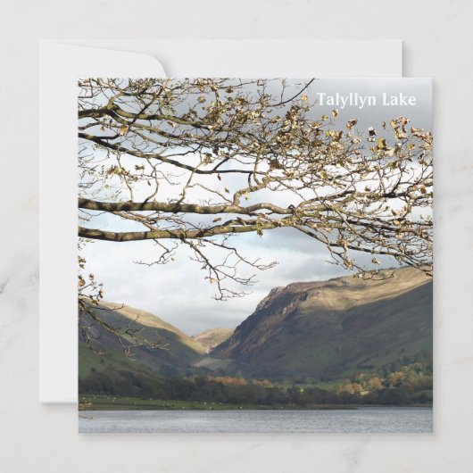 UITZICHTEN VAN WALES KAART (Voorkant)