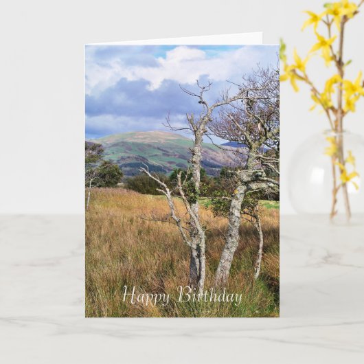 UITZICHTEN VAN WALES KAART (Gele Bloem)