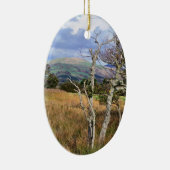 UITZICHTEN VAN WALES KERAMISCH ORNAMENT (Rechts)