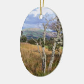 UITZICHTEN VAN WALES KERAMISCH ORNAMENT (Links)