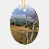 UITZICHTEN VAN WALES KERAMISCH ORNAMENT (Achterkant)