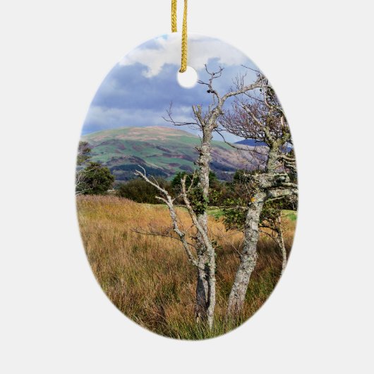 UITZICHTEN VAN WALES KERAMISCH ORNAMENT (Achterkant)