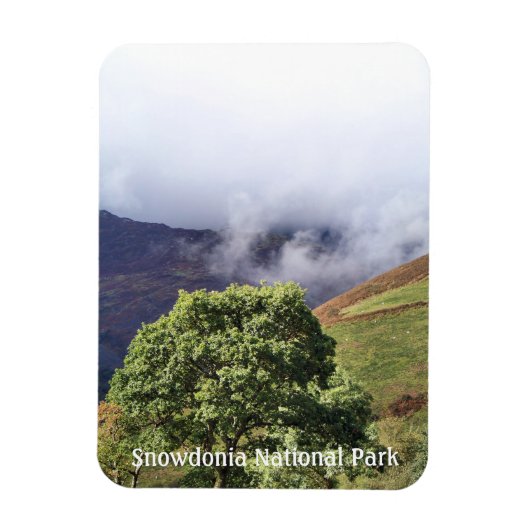 UITZICHTEN VAN WALES MAGNEET (Verticaal)