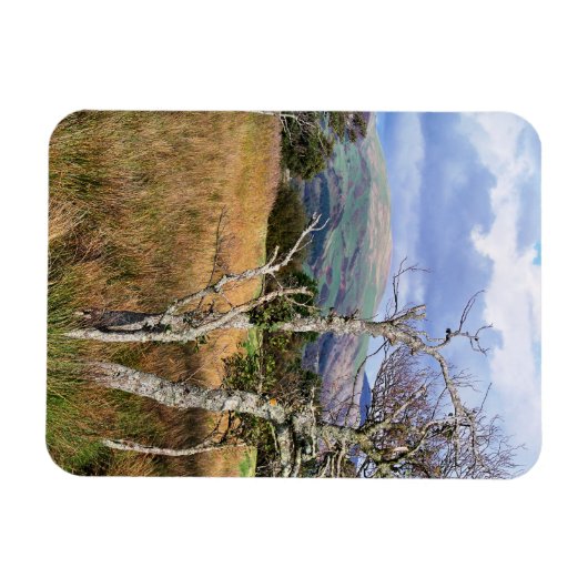 UITZICHTEN VAN WALES MAGNEET (Horizontaal)