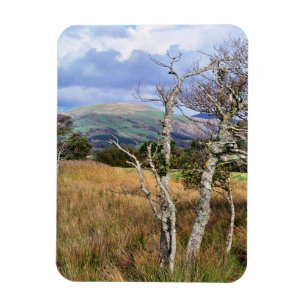 UITZICHTEN VAN WALES MAGNEET