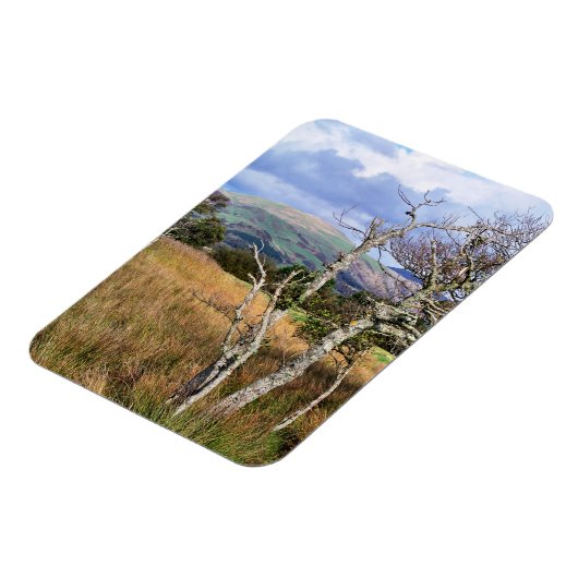 UITZICHTEN VAN WALES MAGNEET (Linkerzijde)