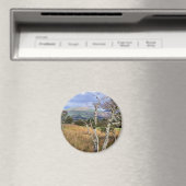 UITZICHTEN VAN WALES MAGNEET (Insitu (Vaatwasser))