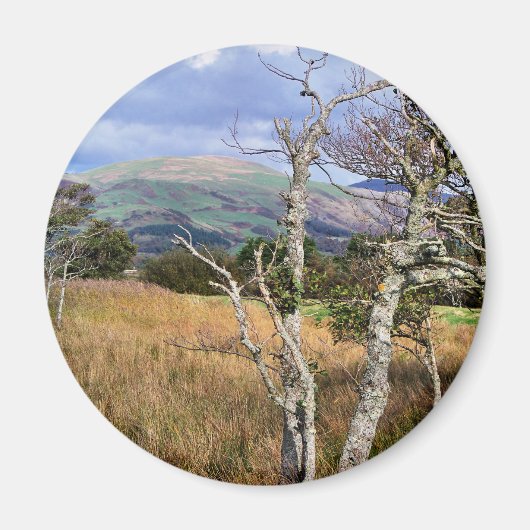 UITZICHTEN VAN WALES MAGNEET (Voorkant)