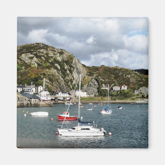 UITZICHTEN VAN WALES MAGNEET (Voorkant)