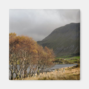 UITZICHTEN VAN WALES MAGNEET