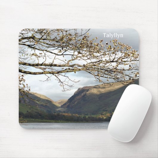 UITZICHTEN VAN WALES MUISMAT (Met muis)