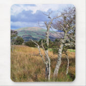 UITZICHTEN VAN WALES MUISMAT (Voorkant)