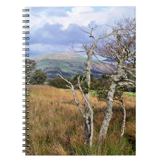 UITZICHTEN VAN WALES NOTITIEBOEK (Voorkant)