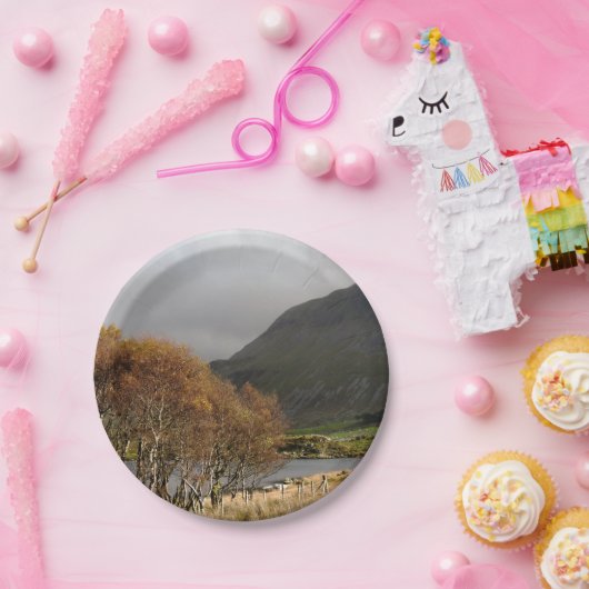 UITZICHTEN VAN WALES PAPIEREN BORDJE (Feest)