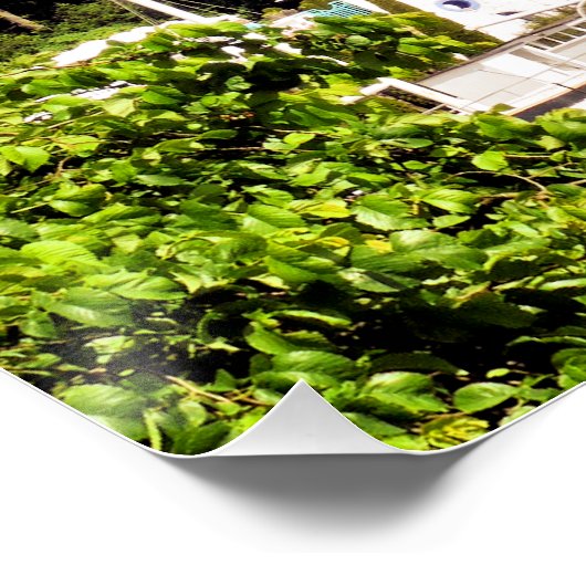 UITZICHTEN VAN WALES POSTER (Hoek)