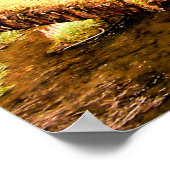 UITZICHTEN VAN WALES POSTER (Hoek)