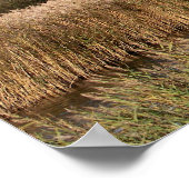 UITZICHTEN VAN WALES POSTER (Hoek)