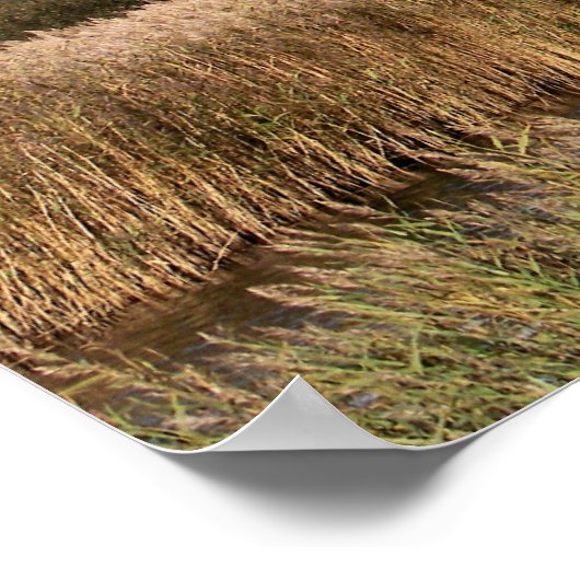 UITZICHTEN VAN WALES POSTER (Hoek)