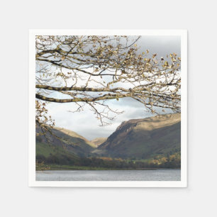 UITZICHTEN VAN WALES SERVET