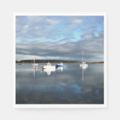 UITZICHTEN VAN WALES SERVETTEN (Voorkant)