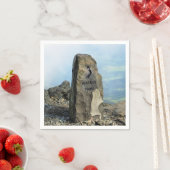 UITZICHTEN VAN WALES SERVETTEN (Insitu)