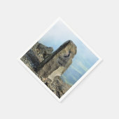 UITZICHTEN VAN WALES SERVETTEN (Hoek)