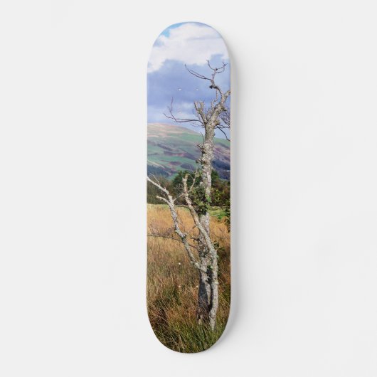 UITZICHTEN VAN WALES SKATEBOARD (Voorkant)