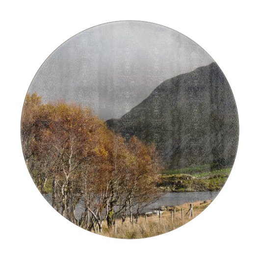 UITZICHTEN VAN WALES SNIJPLANK (Voorkant)