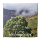 UITZICHTEN VAN WALES TEGELTJE (Voorkant)