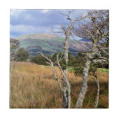 UITZICHTEN VAN WALES TEGELTJE (Voorkant)