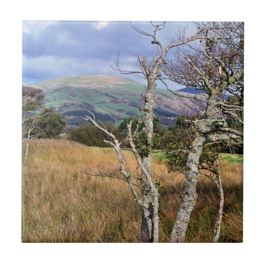 UITZICHTEN VAN WALES TEGELTJE (Voorkant)