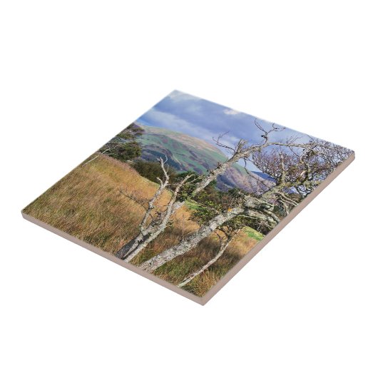 UITZICHTEN VAN WALES TEGELTJE (Zijkant)