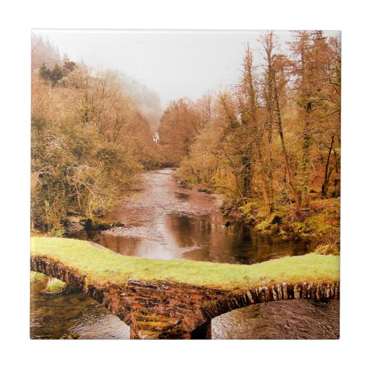 UITZICHTEN VAN WALES TEGELTJE (Voorkant)