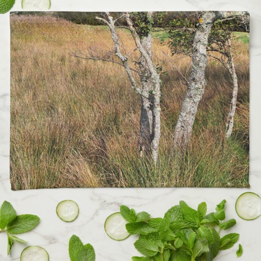 UITZICHTEN VAN WALES THEEDOEK (Gevouwen)