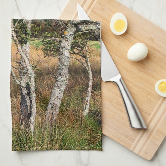 UITZICHTEN VAN WALES THEEDOEK (Quarter Fold)