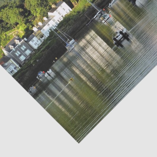 UITZICHTEN VAN WALES TISSUEPAPIER (Detail)