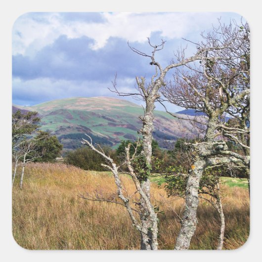 UITZICHTEN VAN WALES VIERKANTE STICKER (Voorkant)