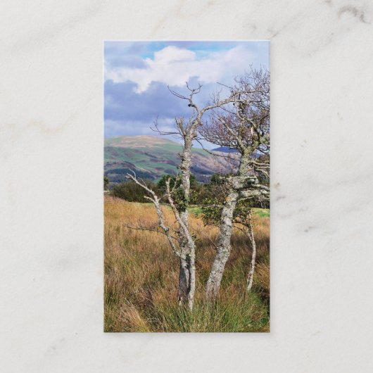 UITZICHTEN VAN WALES VISITEKAARTJE (Voorkant)